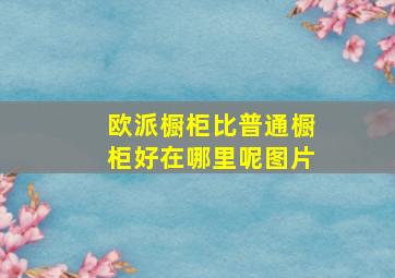 欧派橱柜比普通橱柜好在哪里呢图片