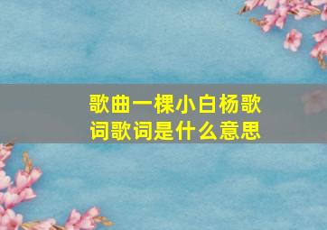 歌曲一棵小白杨歌词歌词是什么意思