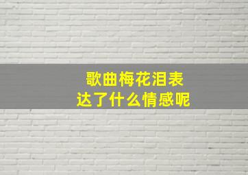 歌曲梅花泪表达了什么情感呢