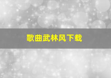 歌曲武林风下载