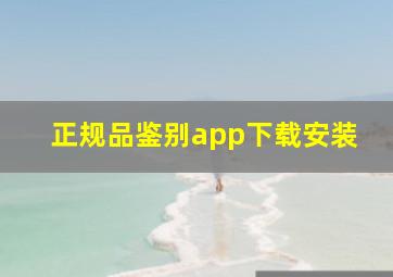 正规品鉴别app下载安装