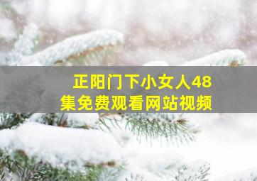 正阳门下小女人48集免费观看网站视频