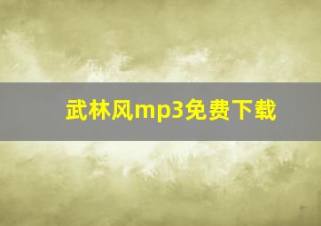 武林风mp3免费下载