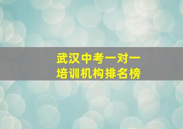 武汉中考一对一培训机构排名榜