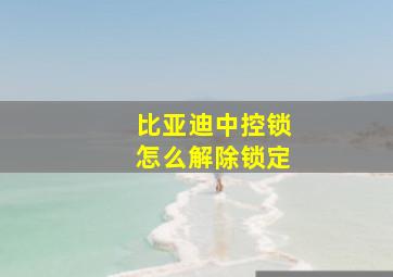 比亚迪中控锁怎么解除锁定