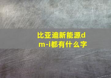 比亚迪新能源dm-i都有什么字