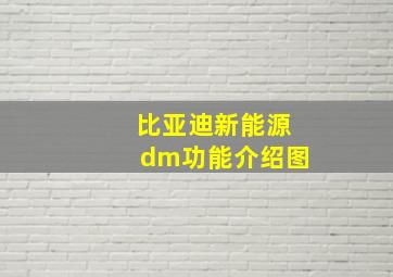 比亚迪新能源dm功能介绍图