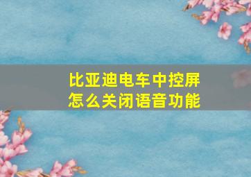 比亚迪电车中控屏怎么关闭语音功能