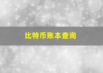 比特币账本查询