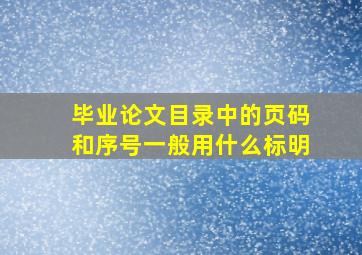 毕业论文目录中的页码和序号一般用什么标明