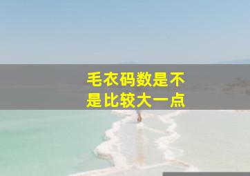 毛衣码数是不是比较大一点