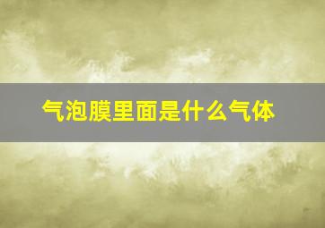 气泡膜里面是什么气体