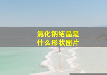 氯化钠结晶是什么形状图片