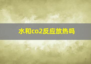 水和co2反应放热吗