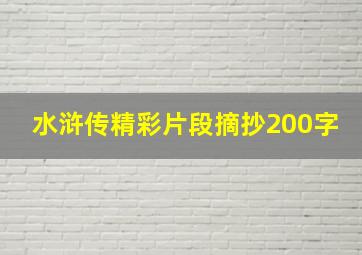 水浒传精彩片段摘抄200字