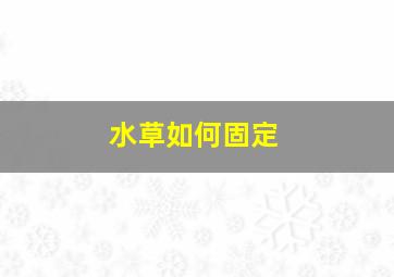 水草如何固定