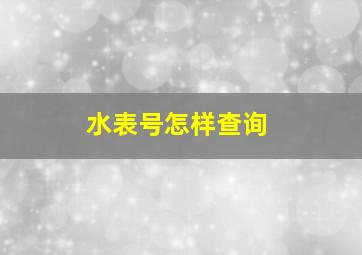 水表号怎样查询