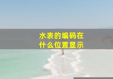 水表的编码在什么位置显示