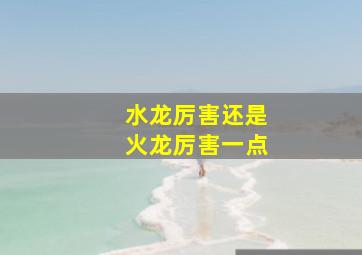 水龙厉害还是火龙厉害一点