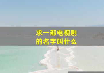 求一部电视剧的名字叫什么