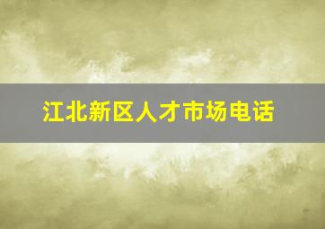 江北新区人才市场电话