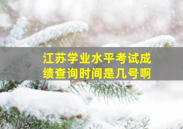 江苏学业水平考试成绩查询时间是几号啊