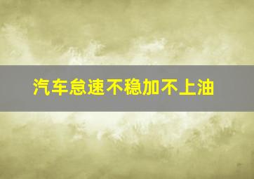 汽车怠速不稳加不上油