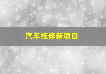 汽车维修新项目