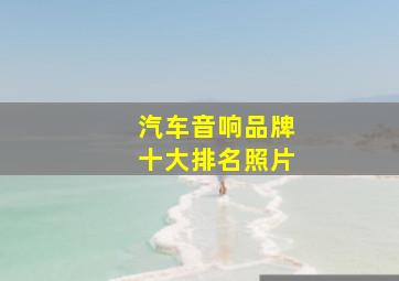 汽车音响品牌十大排名照片