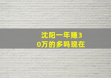 沈阳一年赚30万的多吗现在