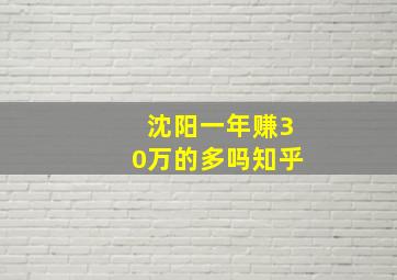 沈阳一年赚30万的多吗知乎