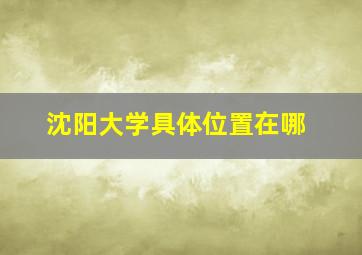 沈阳大学具体位置在哪