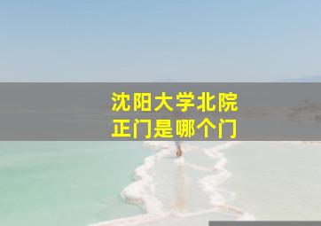 沈阳大学北院正门是哪个门