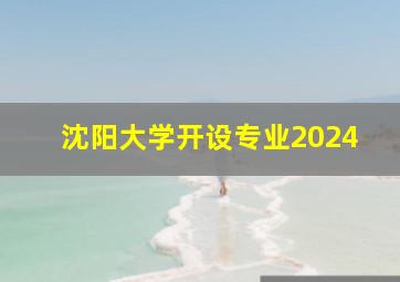 沈阳大学开设专业2024