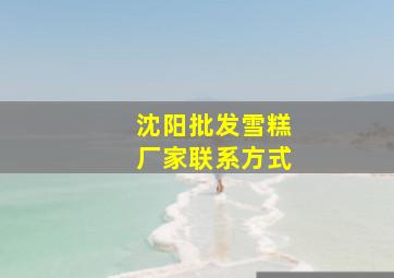 沈阳批发雪糕厂家联系方式