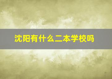 沈阳有什么二本学校吗