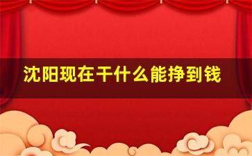 沈阳现在干什么能挣到钱