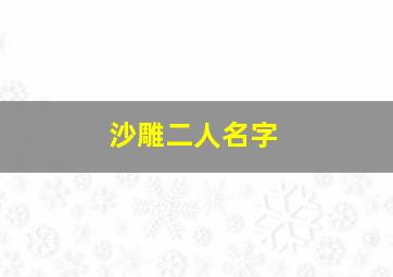 沙雕二人名字