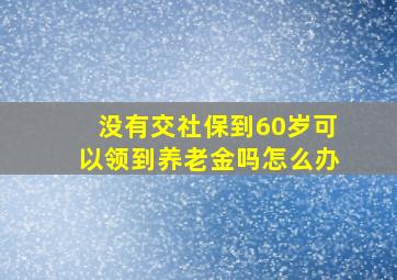 没有交社保到60岁可以领到养老金吗怎么办