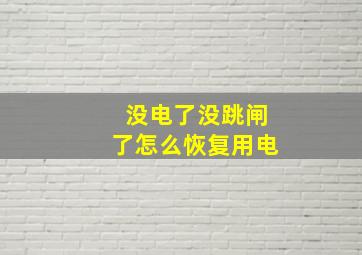 没电了没跳闸了怎么恢复用电