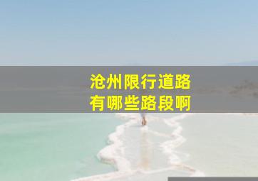 沧州限行道路有哪些路段啊