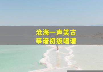 沧海一声笑古筝谱初级唱谱