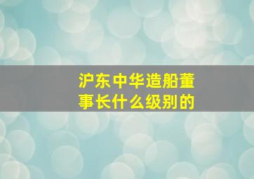 沪东中华造船董事长什么级别的