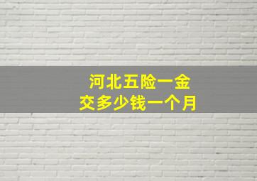 河北五险一金交多少钱一个月