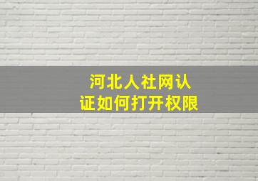 河北人社网认证如何打开权限