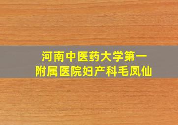 河南中医药大学第一附属医院妇产科毛凤仙