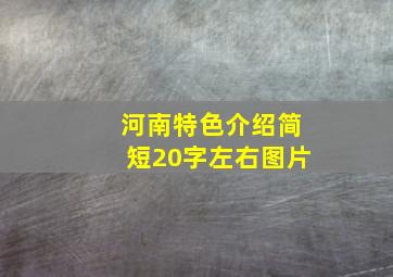 河南特色介绍简短20字左右图片