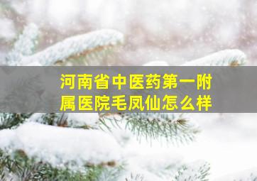 河南省中医药第一附属医院毛凤仙怎么样