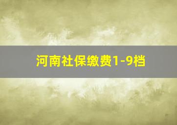 河南社保缴费1-9档