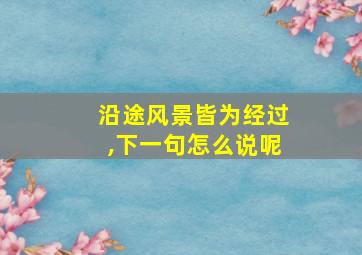 沿途风景皆为经过,下一句怎么说呢